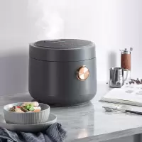 西屋Westinghouse电饭煲WRC-A825