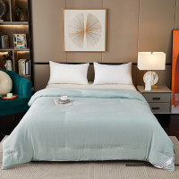 彼加曼 BGM-B2330 梦巴黎天丝棉大提花蚕丝被 200*230cm