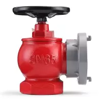 广鲸 消防栓SN65 单头 65mm 单位:个