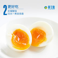 黄天鹅鸡蛋1.59kg/盒 30枚