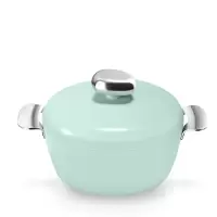 VELOSAN 鹅卵石不粘汤锅 VE00605 24CM 薄荷绿