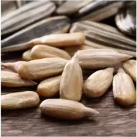 洽洽香瓜子 22g 货期5-10天