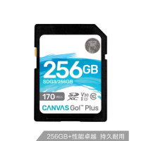 金士顿相机内存卡 SD存储卡U3极速版V30 4K超高清拍摄微单反数码相机摄像储存高速sd大卡256G