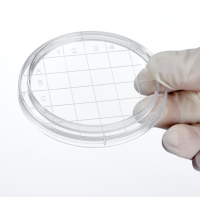 一次性塑料接触皿无菌接触碟55mm表面接触性平皿微生物规格55mm接触皿(弧底)1包(10个)塑料材质(单位:毫米)