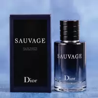 迪奥 旷野淡香100ml