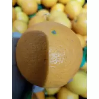 脐橙,当季鲜果,果径7cm以上,袋装发货