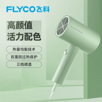 飞科 电吹风FH6296