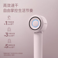 飞科 - 高速电吹风FH6371(钻石粉)