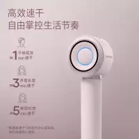 飞科 - 高速电吹风FH6371(钻石粉)