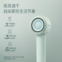 飞科 - 高速电吹风FH6371(水晶绿)