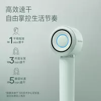 飞科 - 高速电吹风FH6371(水晶绿)
