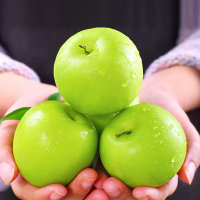 [西沛生鲜]云南新鲜苹果枣 1斤 特大果 单果110-130g 大青枣 牛奶贵妃枣 爆甜多汁 应季水果