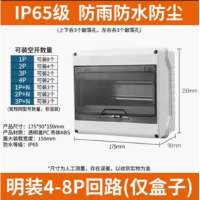 keluom 防水配电箱开关盒漏电保护明装塑料空开盒户外室外工程箱 8回路IP65防水回路箱
