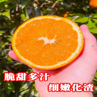 橙子-5斤