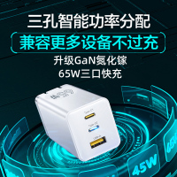 ibattz 多口 氮化镓快速充电器65W(2C1A)