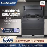 森歌(SENG)海豚系列L1集成灶 集成保洁款 一体式吸烟机燃气灶具 家用抽油烟机燃气灶套装 灰色液化气