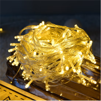 LED灯串彩灯闪灯串灯星星灯彩灯串装饰户外满天星圣诞节日灯 10米100灯带尾插遥控款 暖白