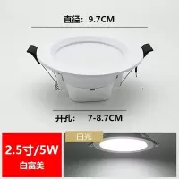 LED筒灯嵌入式射灯客厅天花洞灯2.5寸面板78公分4寸12w白光-LED筒灯(开孔14-17)cm