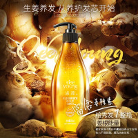 滋源 生姜强根健发洗头水(油性)265ml(H)