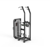 舒华 健身器械综合训练器械 商用多功能力量器材大型运动 SH-G6851 单双杠训练器