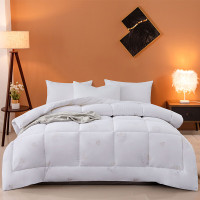 红豆家纺 HDB-2270 红豆澳毛被 (H)