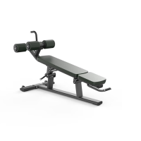 舒华 健身器械综合训练 商用多功能力量器械健身房器材大型运动 SH-G6879 腹肌练习椅