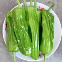 青 椒