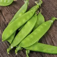 荷兰豆(新鲜)