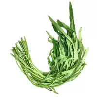 空心菜(新鲜)