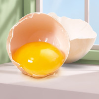 鸡蛋(新鲜)