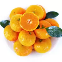 砂糖橘(新鲜)