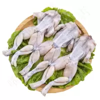 牛蛙(新鲜)