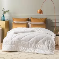罗莱家纺 FX-RM200H 柔梦澳洲羊毛冬被2100g 200*230cm 单个价