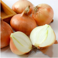黄洋葱(新鲜)