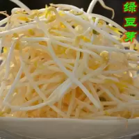 黄豆芽(新鲜)