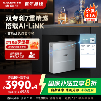 史密斯净水器家用专利4年RO膜反渗透滤芯 3:1高水效更省钱 2升/分钟厨下式直饮净水机R2000FWi-E
