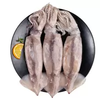 鲜鱿鱼(精品)