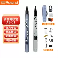 Roland罗兰AE01电吹管新型电子萨克斯初学者成人老年人电子管乐