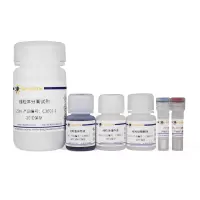 细胞线粒体分离试剂盒
