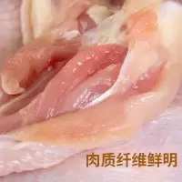 三黄鸡/(新 鲜)