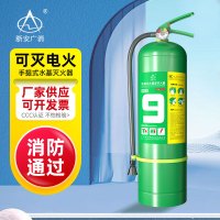 浙安广消9L手提式水基型水雾灭火器 可灭电9升家用车用商用MSZ/9