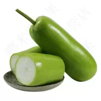 西葫芦(新鲜)
