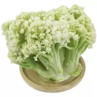 花菜(新鲜)