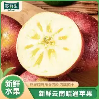 [苏鲜生]云南昭通苹果 净重8.5斤 特大果 单果80-85mm 新鲜应当季水果整箱时令水果