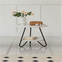 白寅 BY-BSCJ 白色茶几(单位:张)