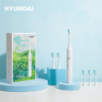 HYUNDAI声波电动牙刷-HYUNDAI油画风六刷头