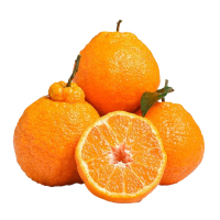 冠町 四川不知火丑橘3斤特大果80-85mm 四川特产柑橘橘子 新鲜水果生鲜