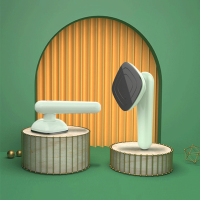 长虹CHANGHONG 电熨斗熨烫机家务整理小巧手持熨斗陶瓷轻薄CYD-32K10