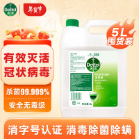 滴露消毒液 5L