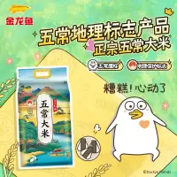金龙鱼 五常大米 五常稻花香大米 东北大米 金玉稻香5kg